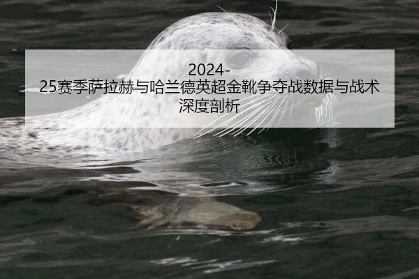 sai-ji-sa-la-he-yu-ha-lan-de-ying-chao-jin-xue-zheng-duo-zhan-shu-ju-yu-zhan-shu-shen-du-pou-xi-1-448.jpg